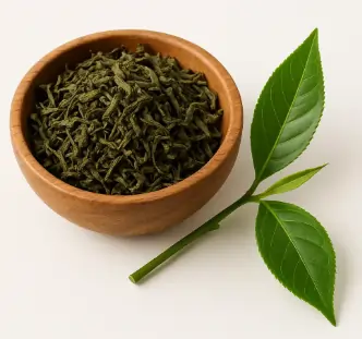 Fresh green tea leaves