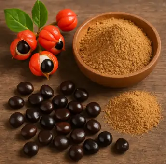 Guarana seeds from the Amazon